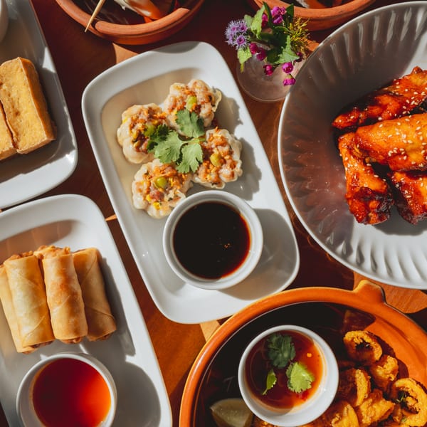 A top-down view of various Thai appetizers including spring rolls, dumplings, fried tofu, and chicken wings.