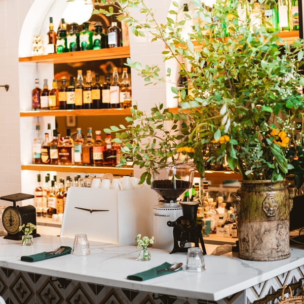 A well-stocked bar with bottles on shelves, a coffee grinder, and a plant in a decorative pot.